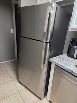 Freezer refrigerator • Stainless steel finish