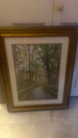 Forest Painting