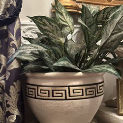 Greek Vase/Pot with Lovely Artificial Leaves/Flowers 