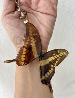 One Of A Kind Beautiful handcrafted REAL butterfly necklace on sterling silver.  