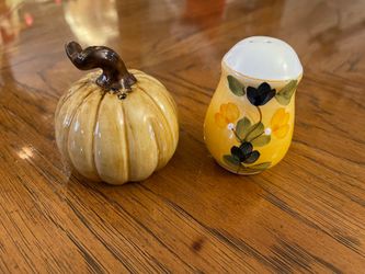 2 Adorable Salt & Pepper Shakers - Pumpkin & Floral - Will Sell Separately or Together