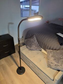 Black LED  Floor Lamp