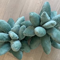 Succulent Decorative Pillows