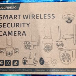 Security Camera (GUDFIDELIO)