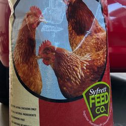 Comida Para Gallinas.