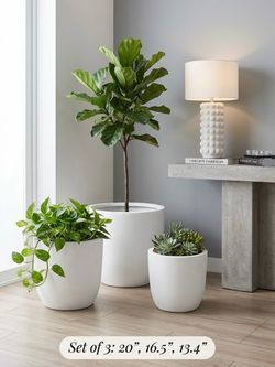 Pure White Concrete Planter Set (Set of 3) - Modern