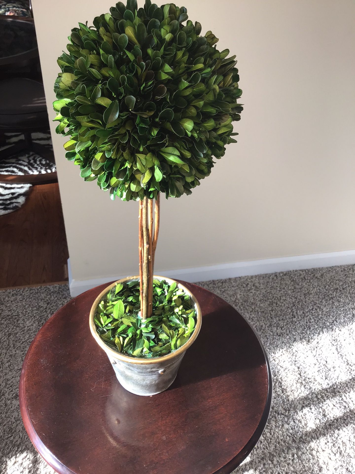 Accessory Plant. $15