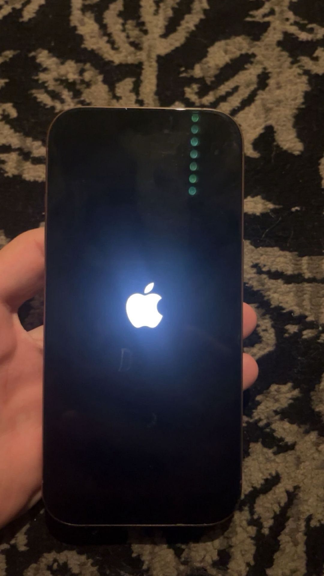 iPhone 16 Pro
