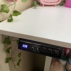 electric standing desk 