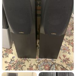 Two Infinity ENTRA TWO Tower  speakers.*VERY NICE!*