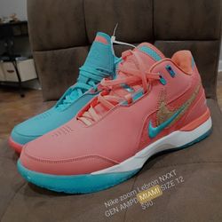 Nike Zoom LeBron NXXT Gen AMPD 'Miami' Size 12 Wide