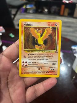MOLTRES FOSSIL