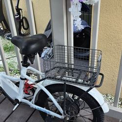 Experience E-bike $250