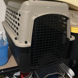 Pet Kennel