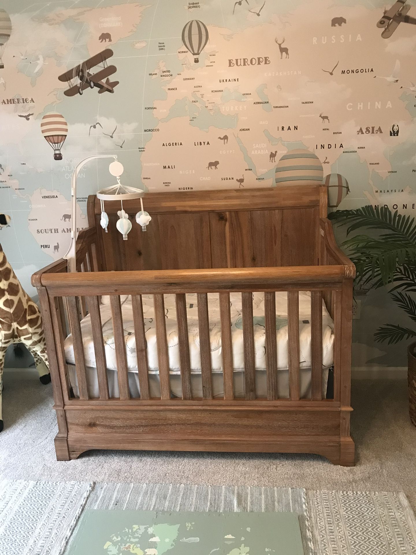 Bertini Pembrooke in Crib And