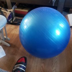 Exercise Ball