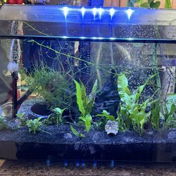 8.75G fresh water tank $150 For Everything 