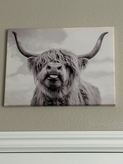 Highland cow canvas frame
