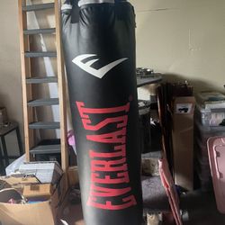 Punching Bag 