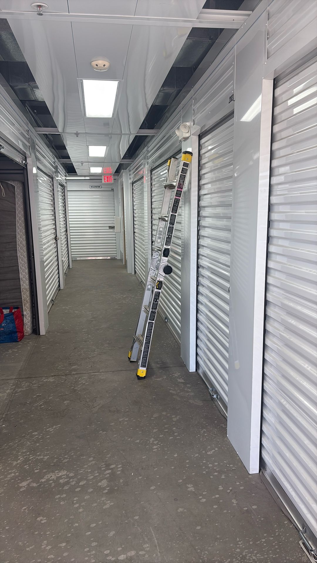 Ladder