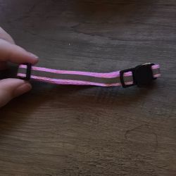Cat collar (Adjustable from small to large)
