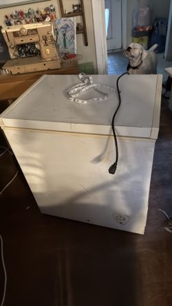Chest freezer