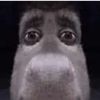 Mingo