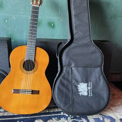 6 String Guitar