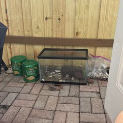 Fish Or Reptile Tank With Metal Screen Cover, Rocks And Shells Galore! 