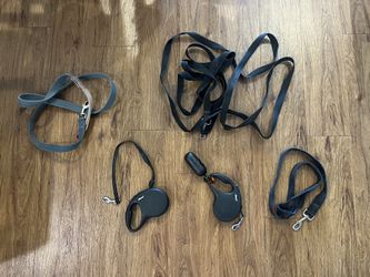 Dog Leashes 