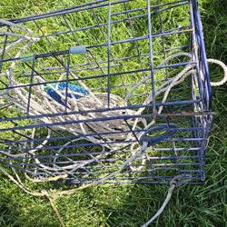 Crab Pot 