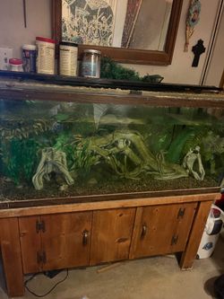 60 gal aquarium fresh water