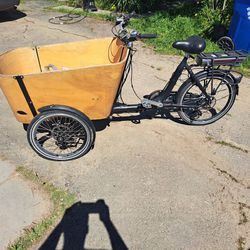 Cargo Tricyle Electric  Bike 