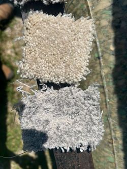 CARPET diferents