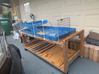 Large Custom Guinea Pig Cage & Supplies