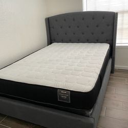 BRAND NEW QUEEN SIZE BED FRAME 