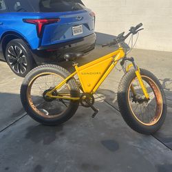 E Bikes