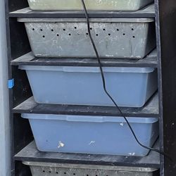Reptile Rack 5 Bin with Heat Tape