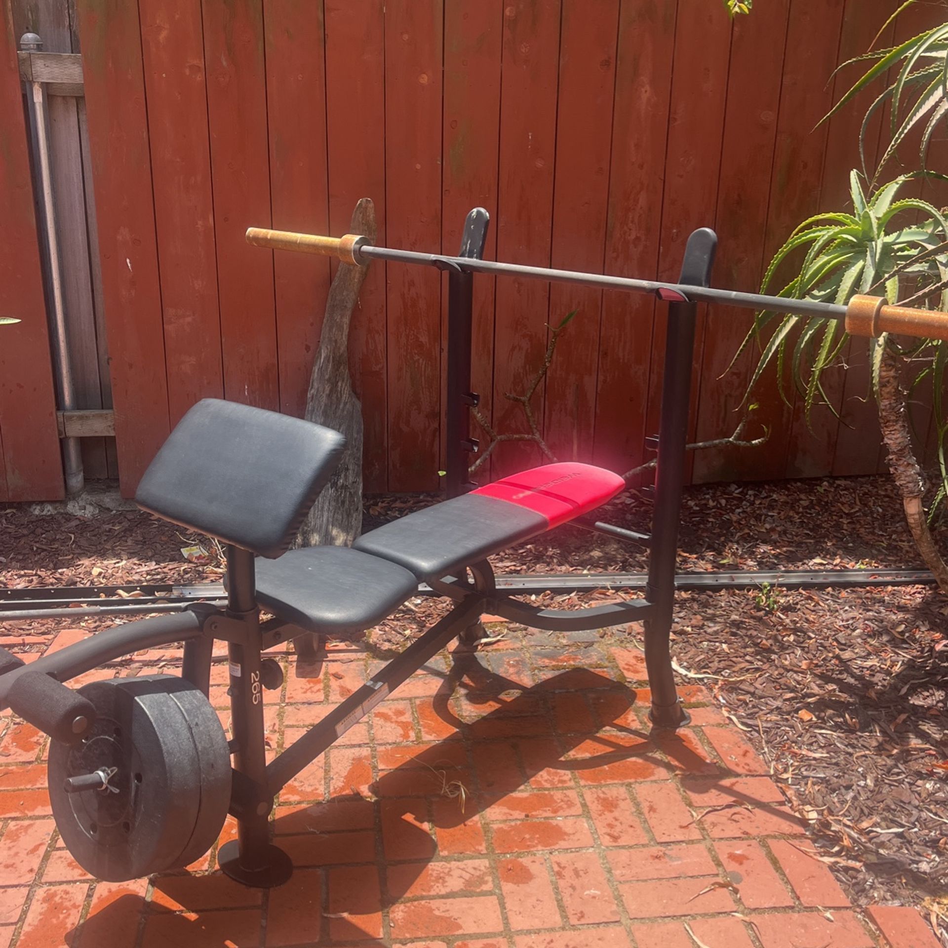 Workout bench + Bars 
