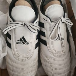 Adidas Taekwondo Shoes 