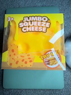 Brand New Cheese Squishy