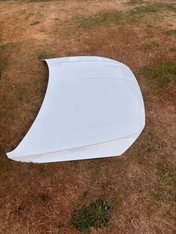 VW OEM Jetta Hood 2019-2024