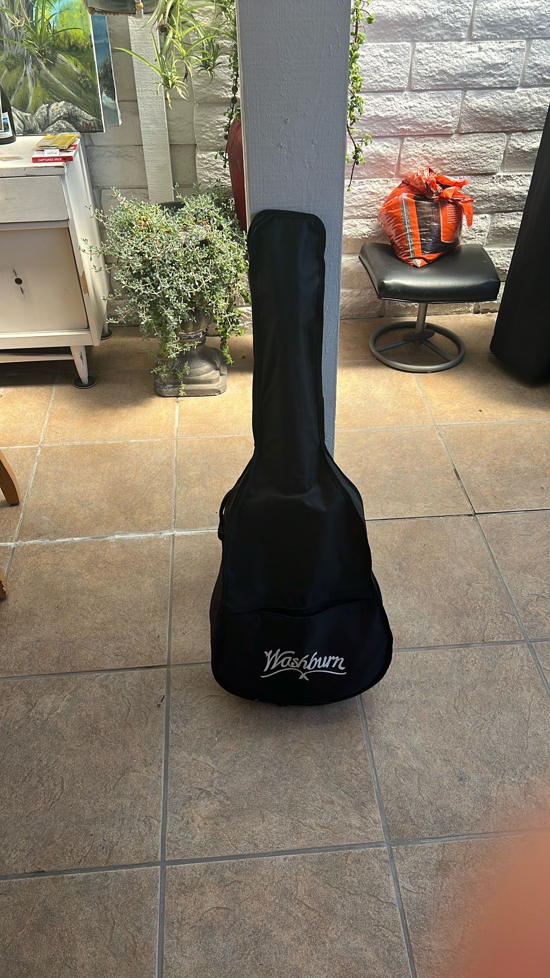 Washburn 