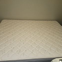 Full Sized Mattress Box spring And Bed Frame