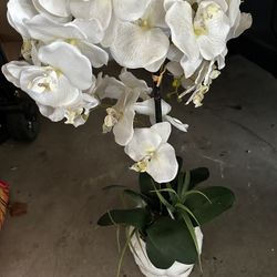 Fake Orchid Plant 