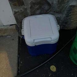 Small Cooler
