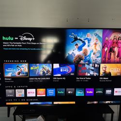 65” Inch Vizio Smart Tv 