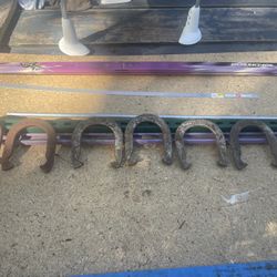 3 sets of 2 each Heavy Horseshoes, CHAMP , BIG BUCK, 6 total shoes. $5 each