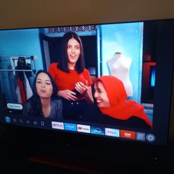 2 Week Old 65 Inch Insignia TV