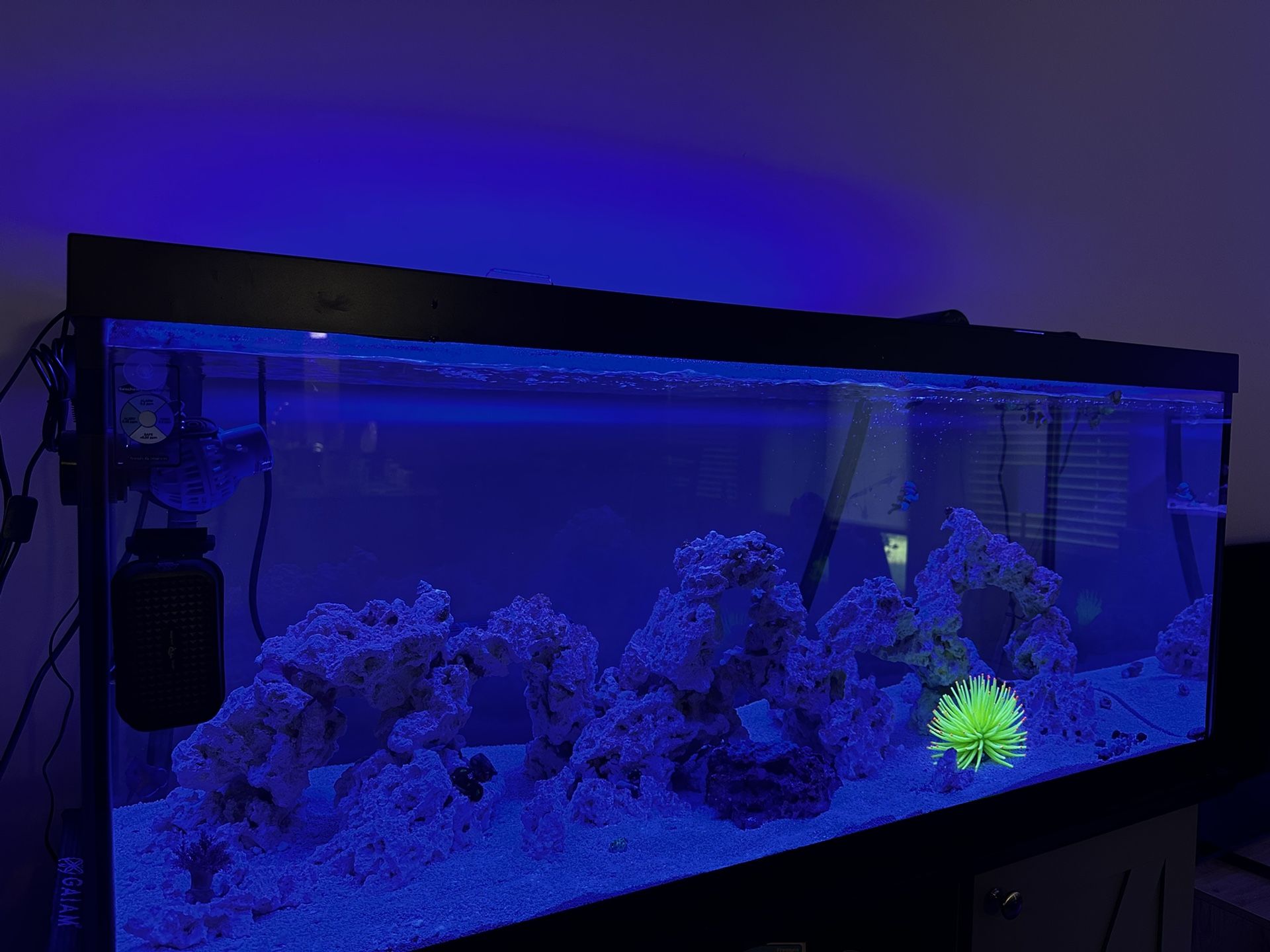 75 Gal Fish Tank With Accessories